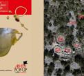 Untitled-design-(14).jpg