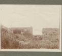 Ostatci samostana na Mrkanu, nepoznati fotograf, poslije 1900.g.; želatinska fotografija zalijepljena na papir; 9x12 cm DUM KPM F-3321/2